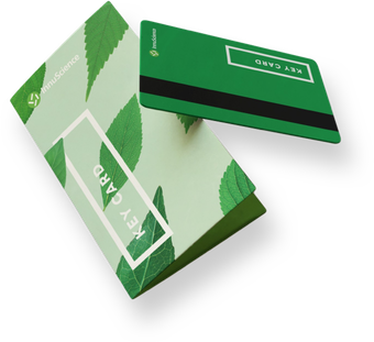 Website Design Office